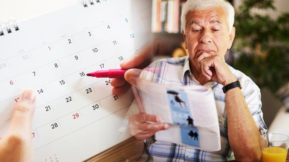 Calendrier des versements de pensions de retraite en 2024 : les dates clés