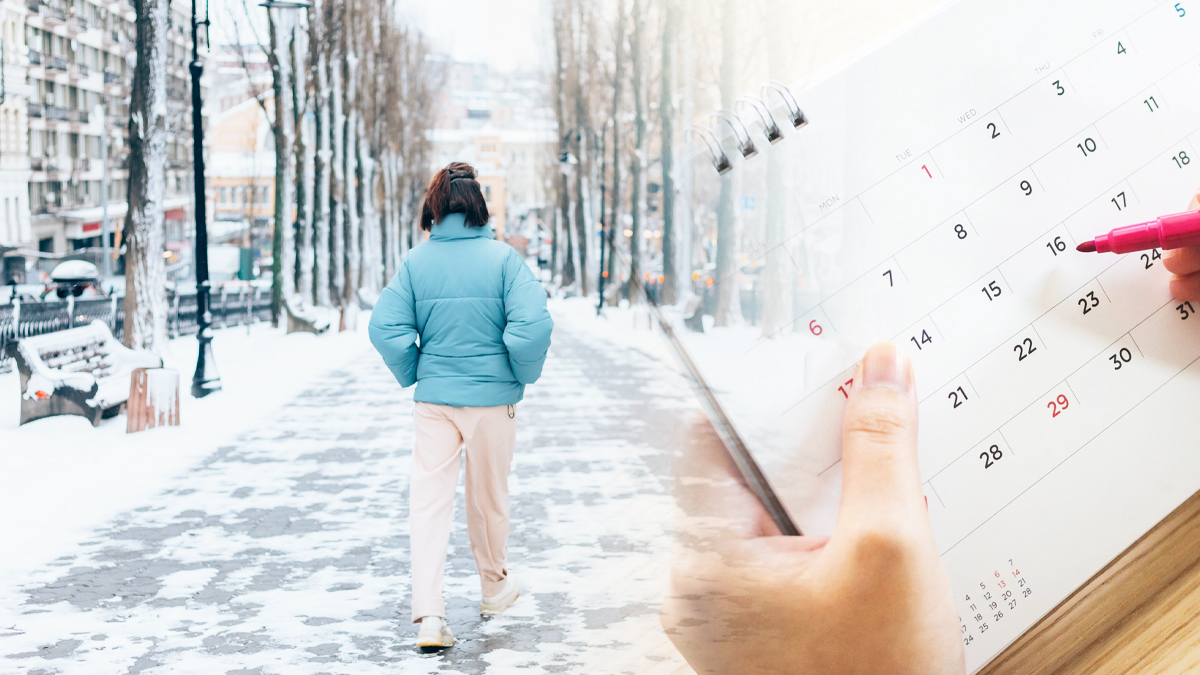 Le froid et la neige peuvent-ils faire leur retour en France d'ici début  2024 ? Découvrez les tendances.