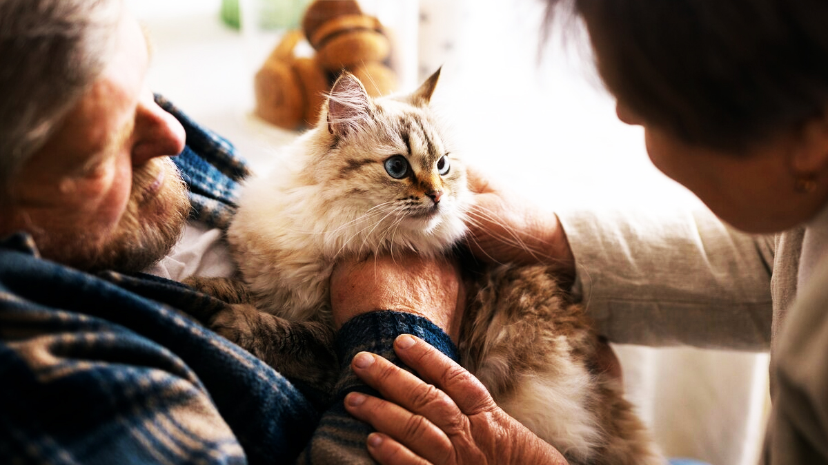 Les animaux de compagnie pourraient être autorisés dans les maisons de retraite